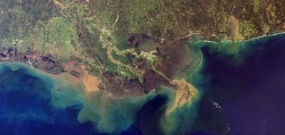 The Grass is Greener in the Coastal Ocean
