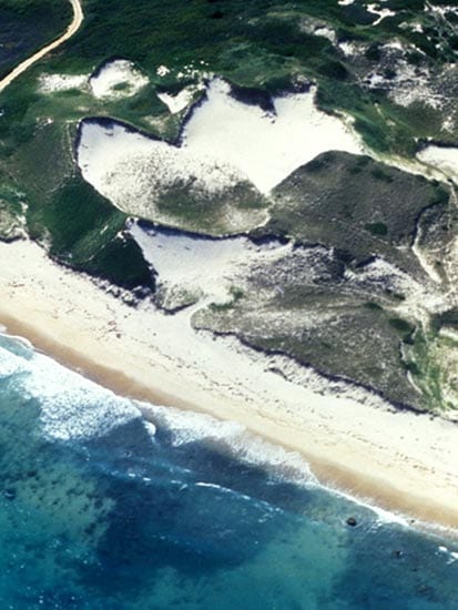 op040529_coast_en_15253.jpg