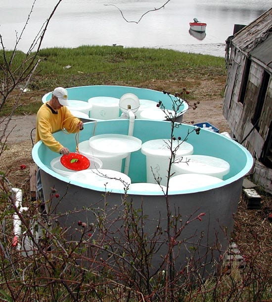 Tanks allow controlled experiments of natural populations from the pond.