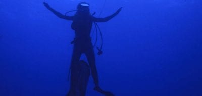 Shedding Light on Light in the Ocean