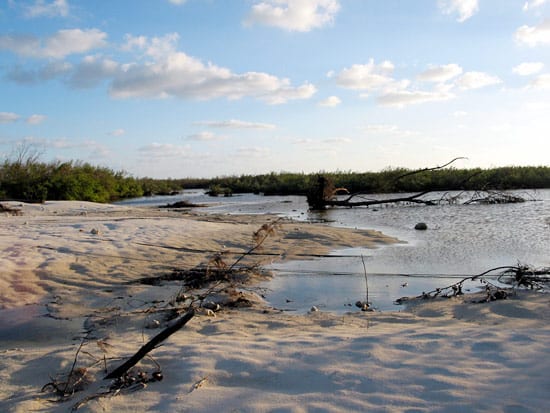 Overwash deposit on Grand Cayman from Hurricane Ivan.