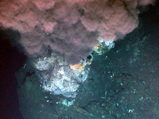 Hydrothermal vent