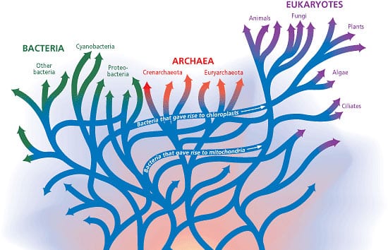 The Deeps of Time in the Depths of the Ocean