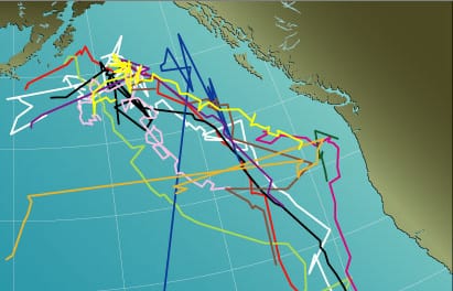 A Lone Voice Crying in the Watery Wilderness – Woods Hole Oceanographic  Institution