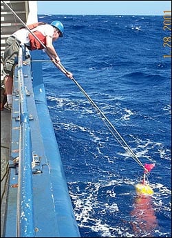 schmitt3_nest_9485.jpg