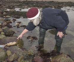 seasquirt2_9209.jpg