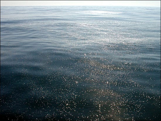 Sea surface slicked with oil from the natural seeps off Santa Barbara.