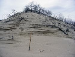 Dune outcrop in Danube Delta