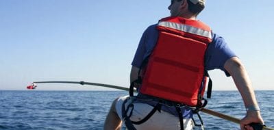 To Find Whales, Follow Their Food