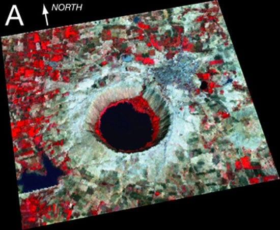 opcrater_nest_18943.jpg