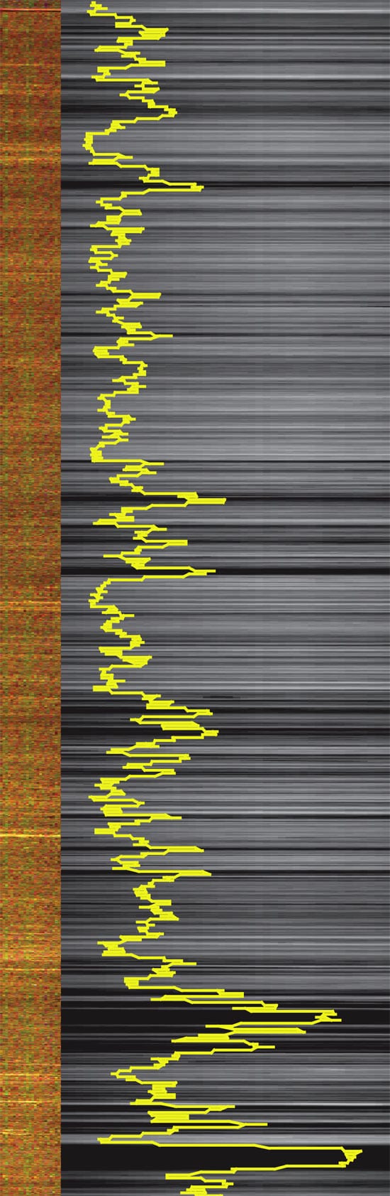 xrf2-n_20532.jpg