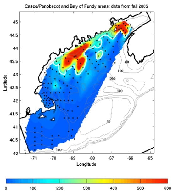 map33_nest_23375.jpg