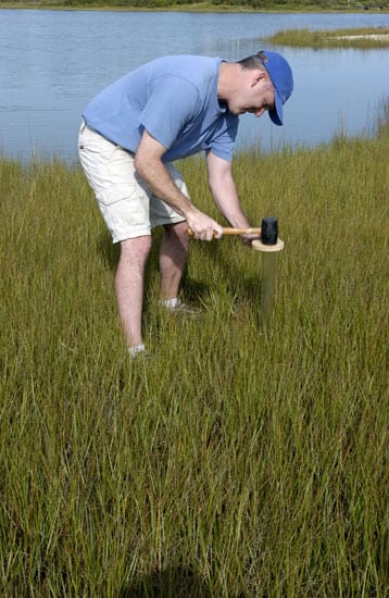 op_donnelly_nest_27143.jpg