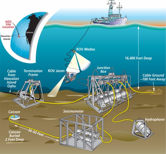 Seafloor Sentinel