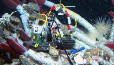 Seafloor Settlers