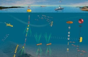 Scientists Gear Up to Launch Ocean Observing Networks