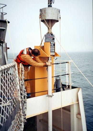 core2_nest_31671.jpg