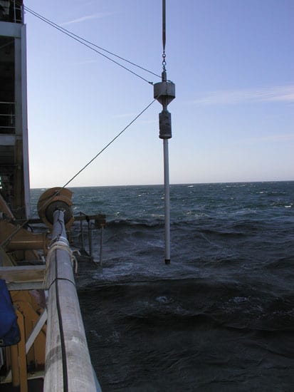 keigwin3_nest_31708.jpg