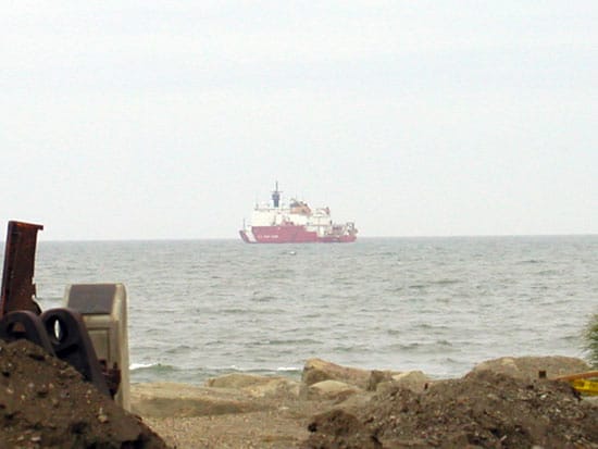 keigwin4_nest_31710.jpg