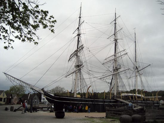 morgan1_nest_31518.jpg