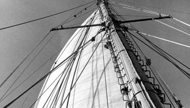 Into the Wind