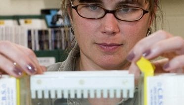 Sifting for microbes