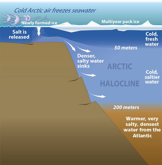 halocline_38468.jpg