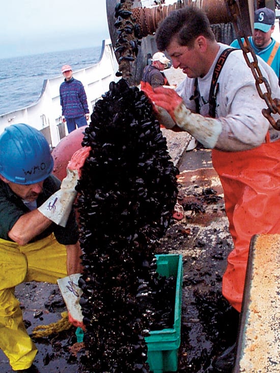 Farming in the Ocean