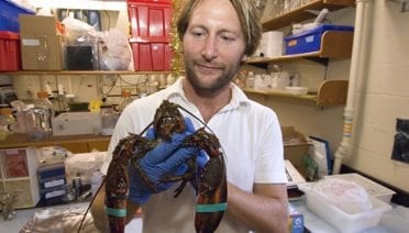 Saving a New England Icon