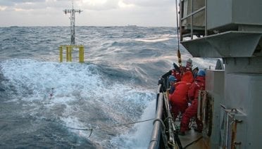 Sparring with the ocean