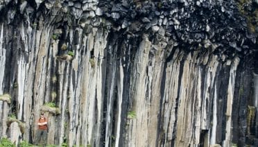 Pillars of education