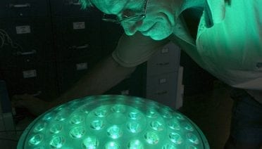Disco strobes for the seafloor