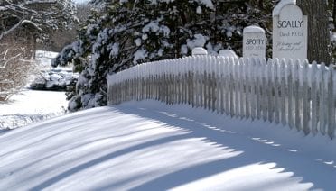 Winter in Woods Hole
