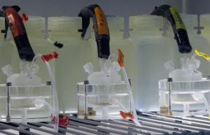 Cell-sized Thermometers