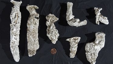Digging Into Pollution Problems