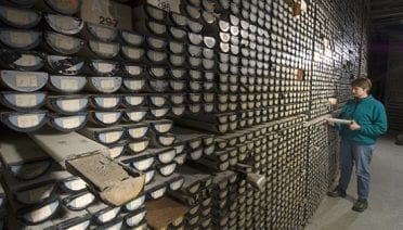 Library of Mud