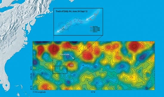 eddies_map_nest_45951.jpg