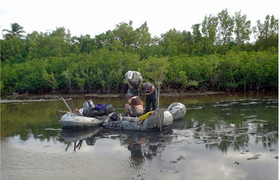 Scientists Unearth Long Record of Past Hurricanes