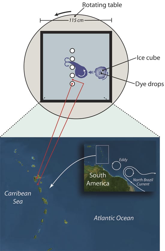 carib_simul_250_48514.jpg