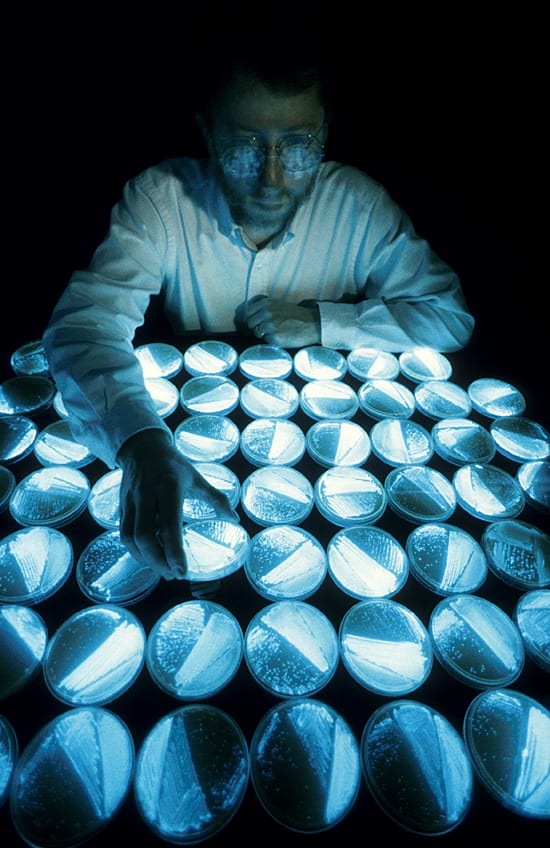 Illuminating Work