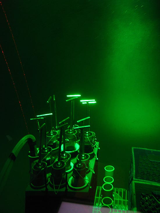 Lighting Up the Abyss
