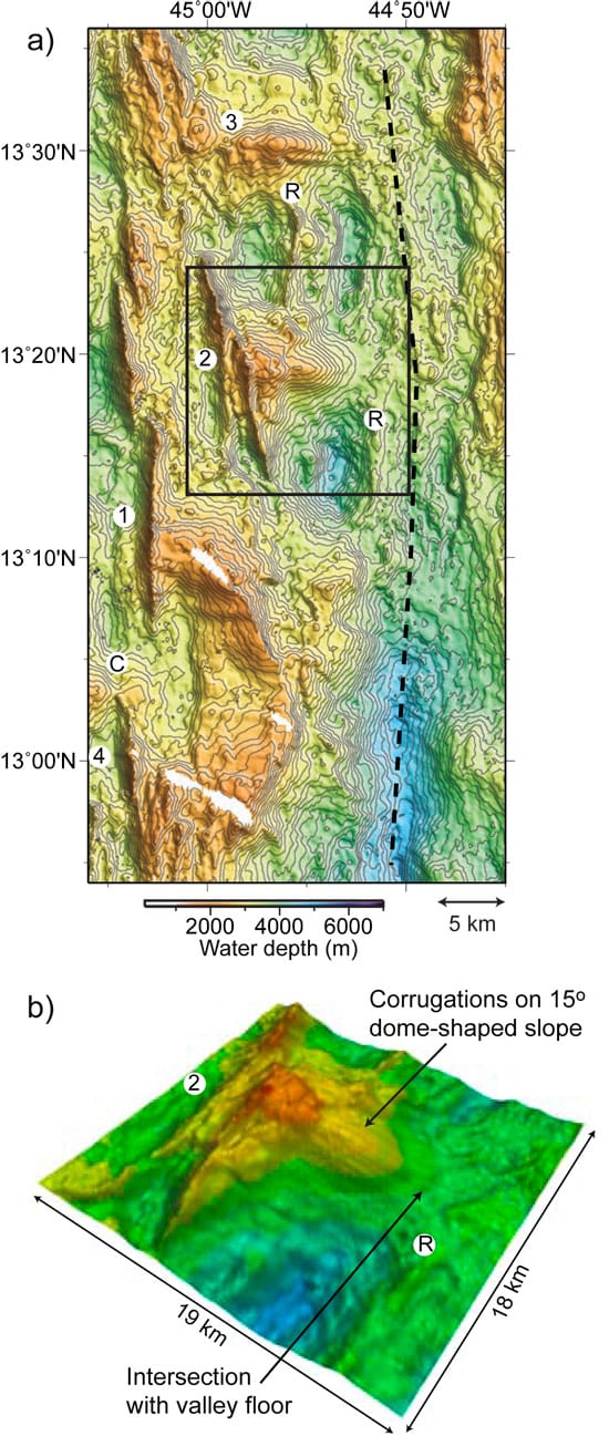 smith_fig1_250_51017.jpg