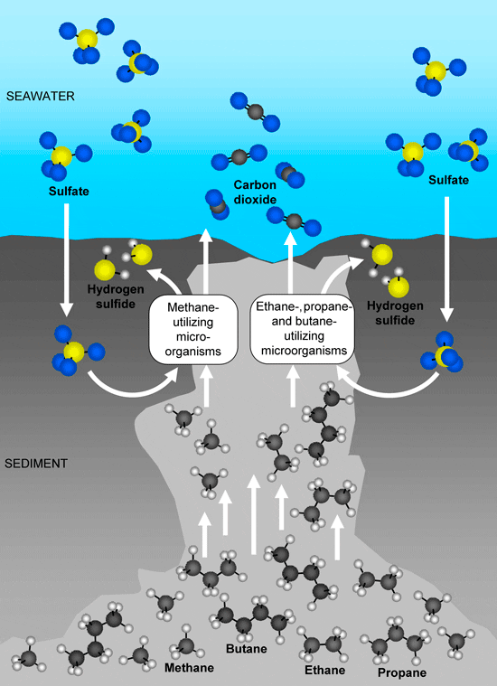 Scheme(Engl)-250_54223.gif