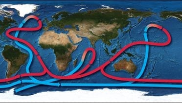 Circulatory System of the Ocean