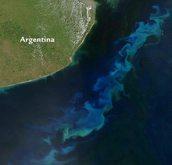 argentina_550_57454.jpg