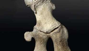 Bare Bones Research
