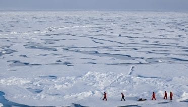 International Polar Day