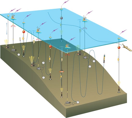 PioneerArray_550_66768.jpg