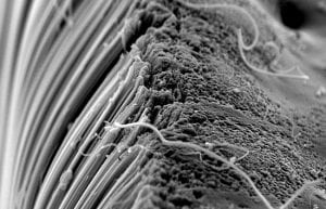 Making Nanotubes Without Harming the Environment