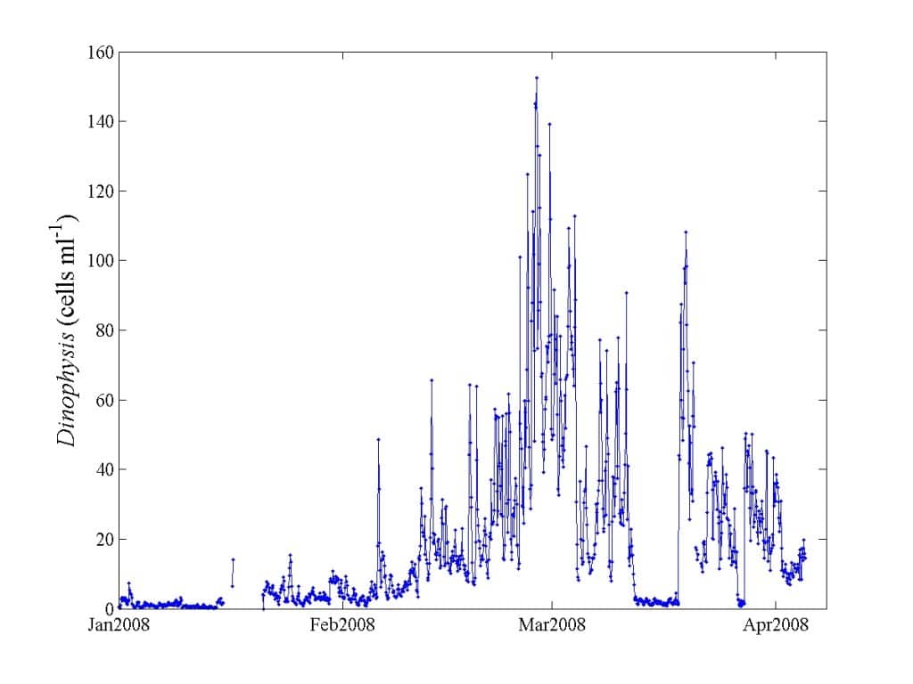 plot of dinophysis abundance